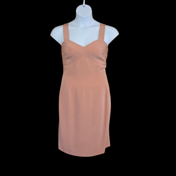 VTG 100% Silk DANA BUCHMAN Sheath Dress Peachy Pink Sz 6 Sleeveless Knee Length - Picture 1 of 7